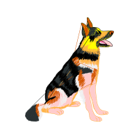 East European Shepherd Animals