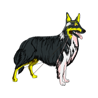 East European Shepherd Animals