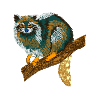 Eastern Meadow Vole Animals Eastern Meadow Vole Animals