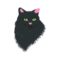 Eastern Screech Owl Animals Eastern Screech Owl Animals