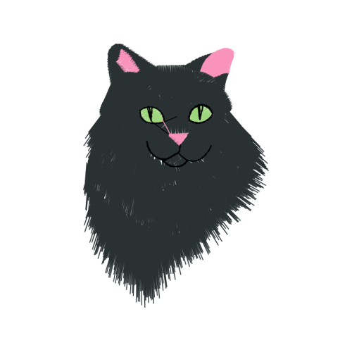 Eastern Screech Owl Animals Eastern Screech Owl Animals