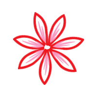 Elo7 Animals Elo7 Animals