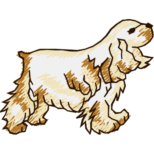 English Cocker Spaniel Animals English Cocker Spaniel Animals