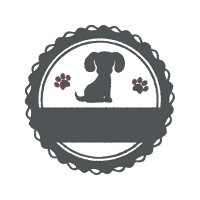 English Cocker Spaniel Animals English Cocker Spaniel Animals