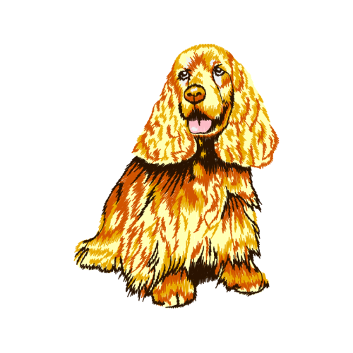 English Cocker Spaniel Animals English Cocker Spaniel Animals