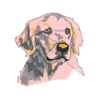 English Cocker Spaniel Animals