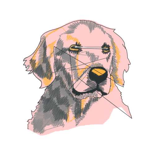 English Cocker Spaniel Animals English Cocker Spaniel Animals