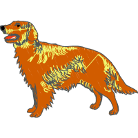 English Cocker Spaniel Animals English Cocker Spaniel Animals