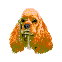 English Cocker Spaniel Animals