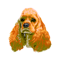 English Cocker Spaniel Animals