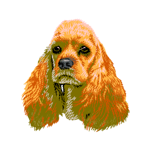 English Cocker Spaniel Animals English Cocker Spaniel Animals