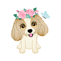 English Cocker Spaniel Animals