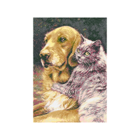 English Cocker Spaniel Animals English Cocker Spaniel Animals