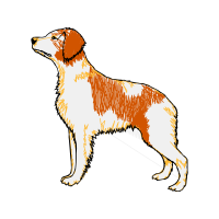 English Shepherd Animals