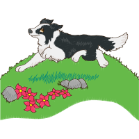 English Shepherd Animals English Shepherd Animals