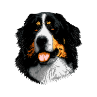 English Shepherd Animals