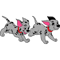 English White Terrier Animals