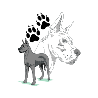 English White Terrier Animals