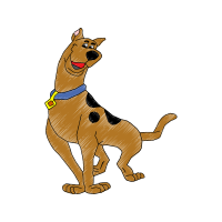 English White Terrier Animals