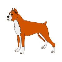 English White Terrier Animals