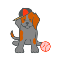 Estrela Mountain Dog Animals