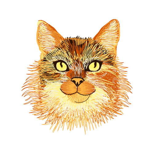 European Shorthair Animals European Shorthair Animals