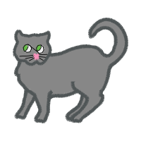 European Shorthair Animals European Shorthair Animals