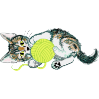 European Shorthair Animals European Shorthair Animals