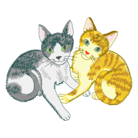 European Shorthair Animals