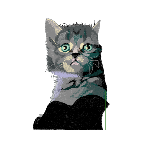 European Shorthair Animals European Shorthair Animals