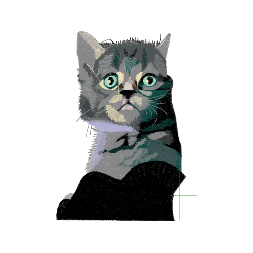 European Shorthair Animals European Shorthair Animals