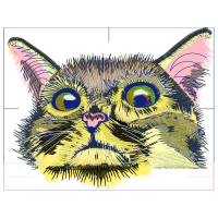 European Shorthair Animals