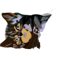 European Shorthair Animals