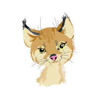 European Shorthair Animals