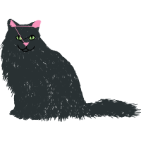 European Shorthair Animals