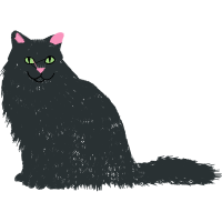 European Shorthair Animals European Shorthair Animals