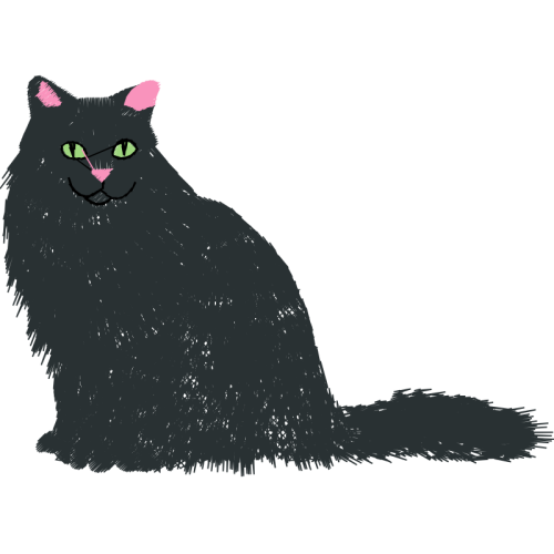 European Shorthair Animals European Shorthair Animals