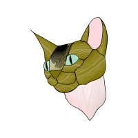 European Shorthair Animals