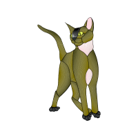 European Shorthair Animals