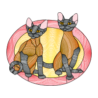 European Shorthair Animals