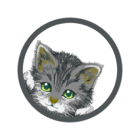 European Shorthair Animals