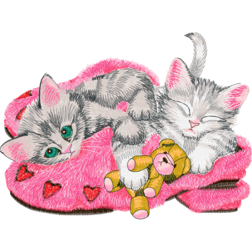 European Shorthair Animals European Shorthair Animals