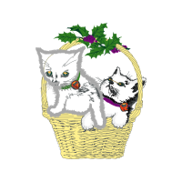 European Shorthair Animals