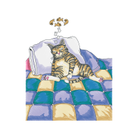 European Shorthair Animals European Shorthair Animals