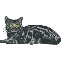 European Shorthair Animals European Shorthair Animals