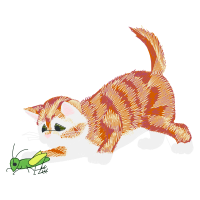 European Shorthair Animals