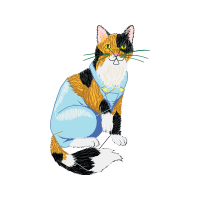 European Shorthair Animals