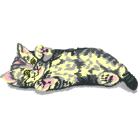 European Shorthair Animals European Shorthair Animals