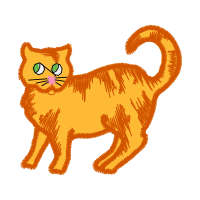 European Shorthair Animals European Shorthair Animals