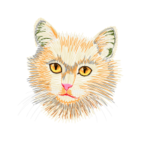 European Shorthair Animals